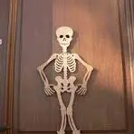 Squelette Bois