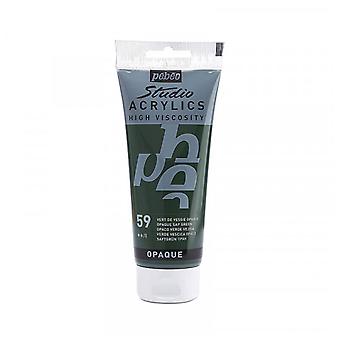 Acrylique Studio High Viscosity 100Ml Vert Vessie - Pébéo 