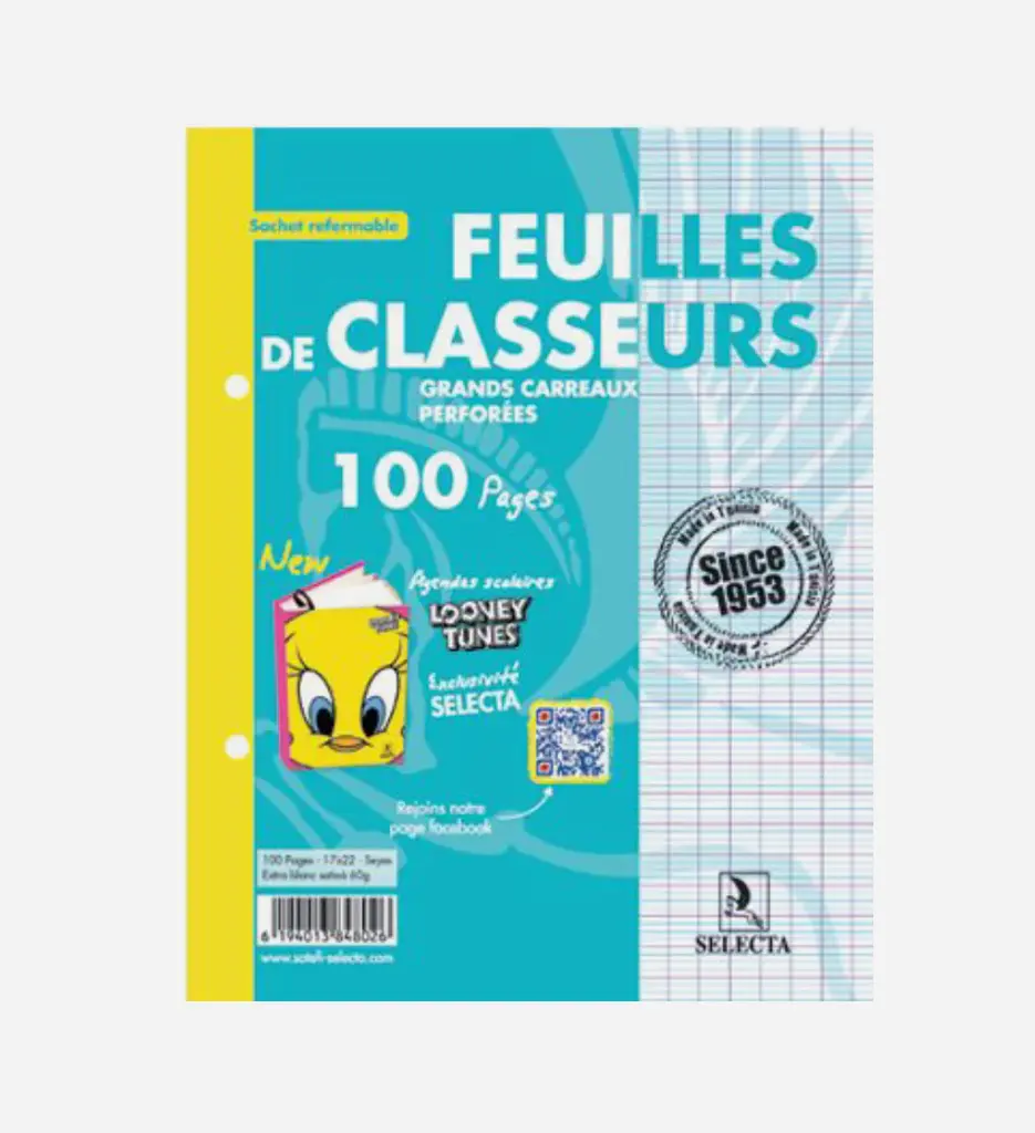 Paquet de 100 Feuilles Classeur Seyes GM A4 - Selecta 055